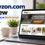 Zingyzon. com